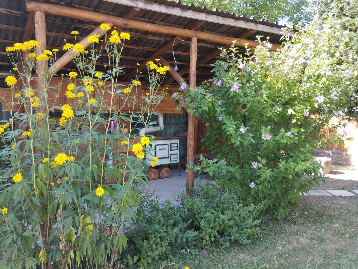 Ferienwohnung Eletvirag Rezidencia Es Vendeglak Egerszalók Exterior foto